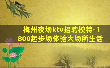 浙江酒吧招聘